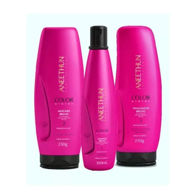 Color System Hair Protection Maintenance Treatment Kit 3 Itens - Aneethun