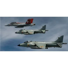 Indian Navy Fighter Jets Wall Decal (2 Sizes Available)