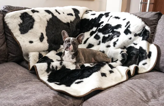 Paw Brands PupProtector™ Waterproof Throw Blanket