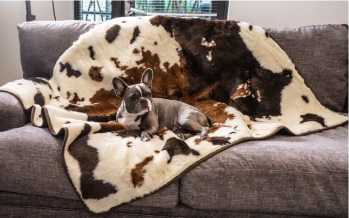 Paw Brands PupProtector™ Waterproof Throw Blanket