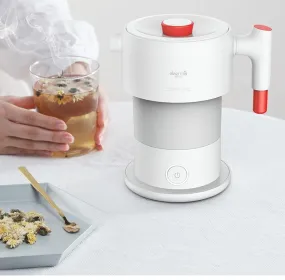 Small Electric Hot Water Kettle